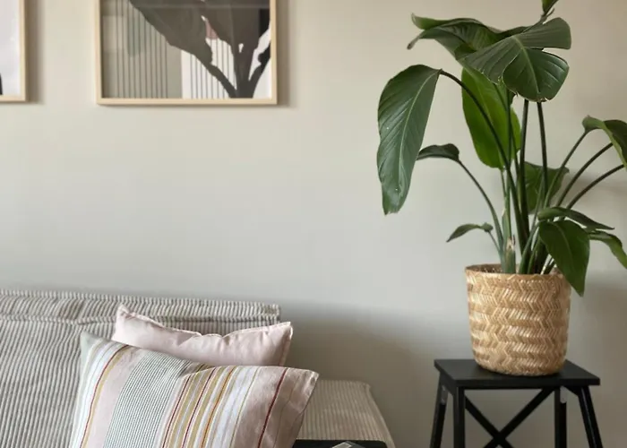 Boho Waves Retreat *